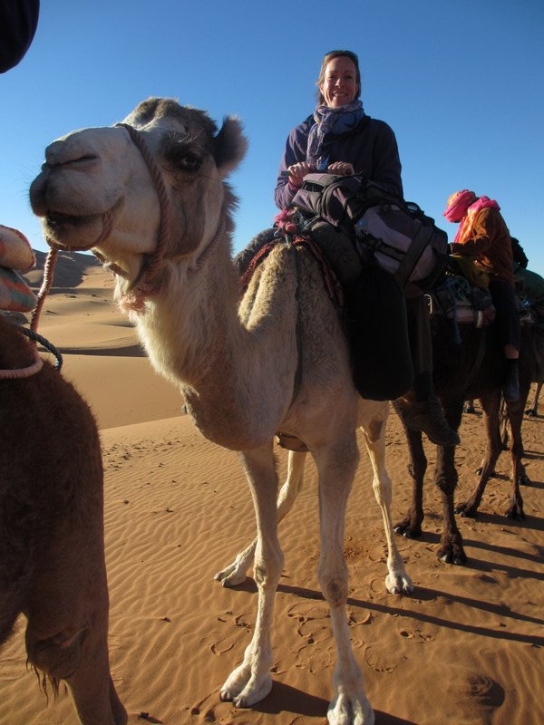 Camel Ride in the Sahara