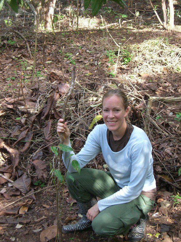 Reforesting the land with native plants