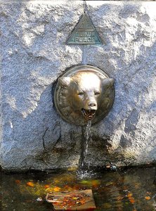 Bear fountain