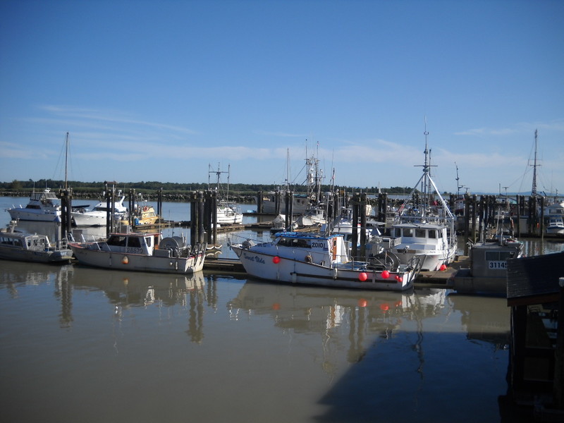 The docks, mostly fishing boats.