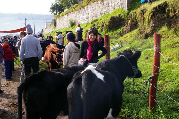 Katie checking out the produce at the Otavalo animal market 