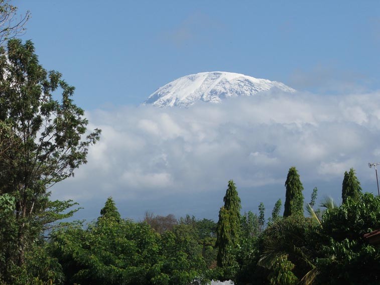 Kilimanjaro view