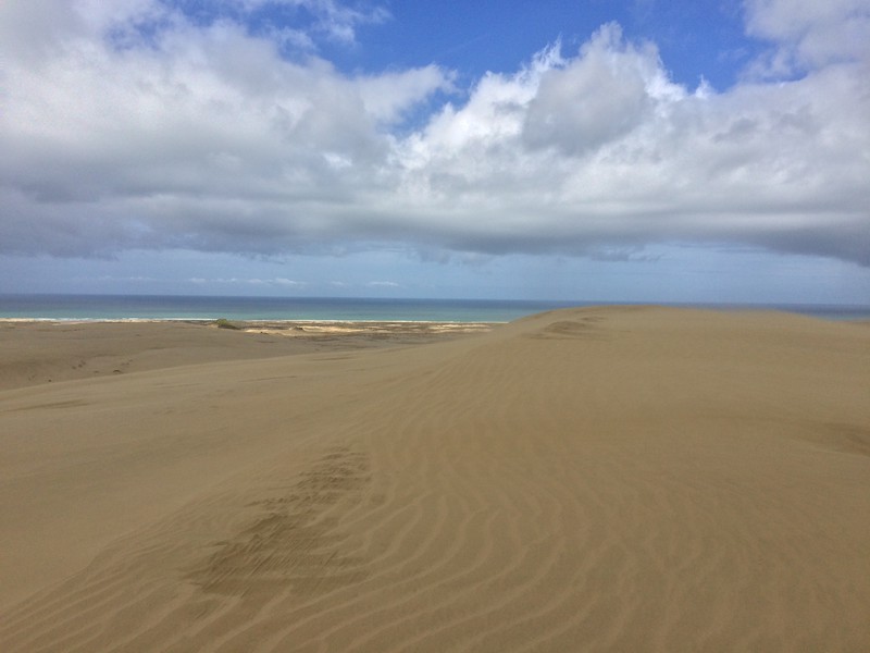 Dunes de sable de Te Paki