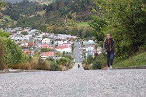 The world's steepest residential street