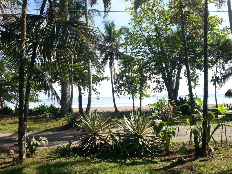 Bardzo prywatny widok z naszego hotelu na Mar Caribe