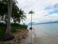 Plaża w Bocas del Drago no3