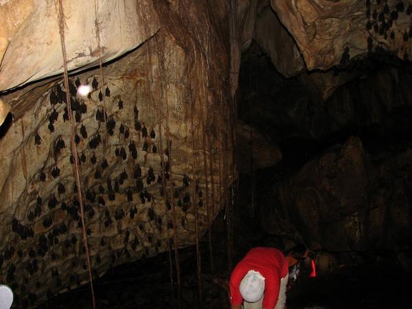 bat cave