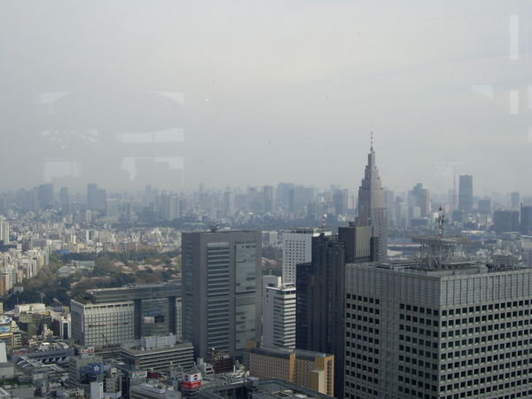 View of Tokyo 