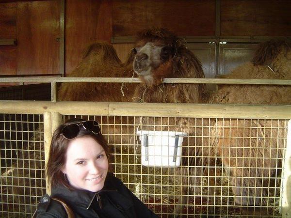 Me and My New Friend, the Edinburgh Camel