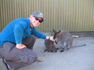 Me feeding a wallaby