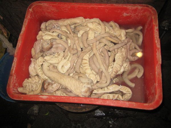 what is this?  intestines?