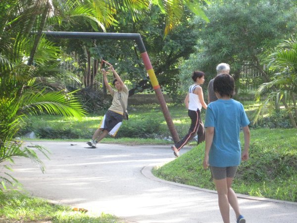 Exercises in the park