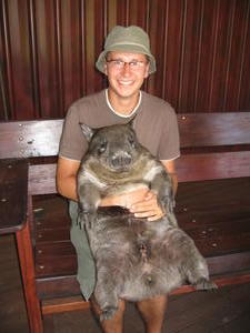 A and wombat