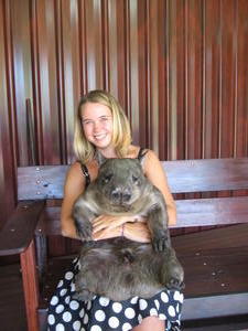 C and Wombat