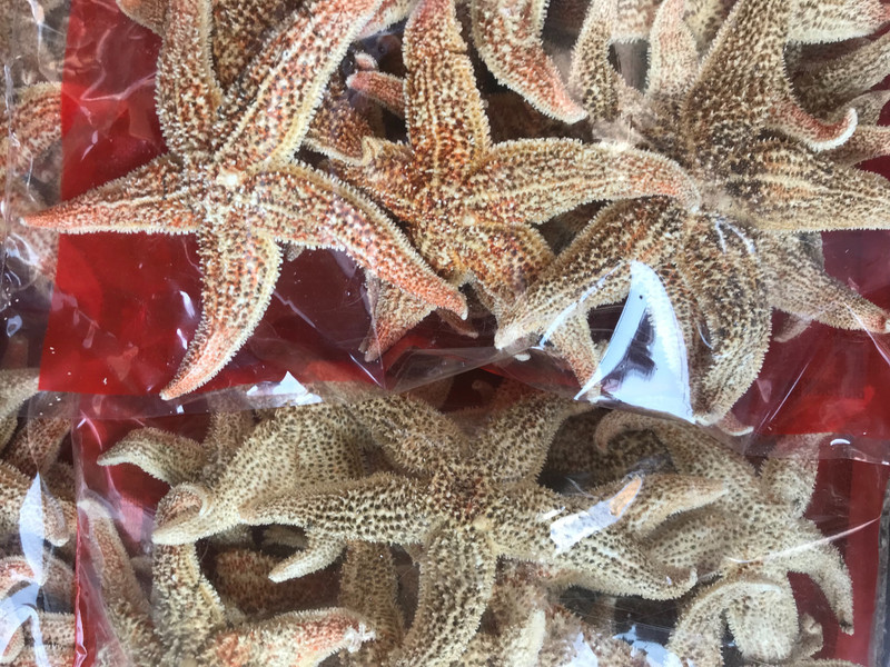Dried starfish 
