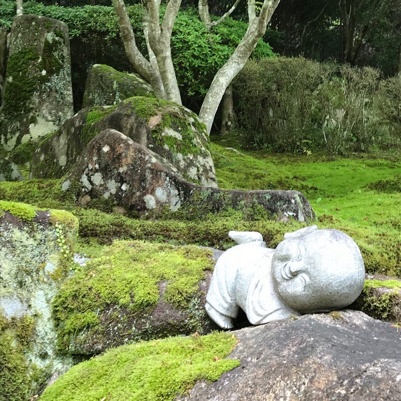 At a shrine while hiking in Miyajima 