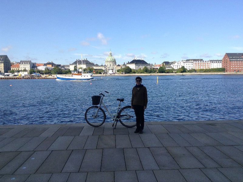 View of Amalienborg 