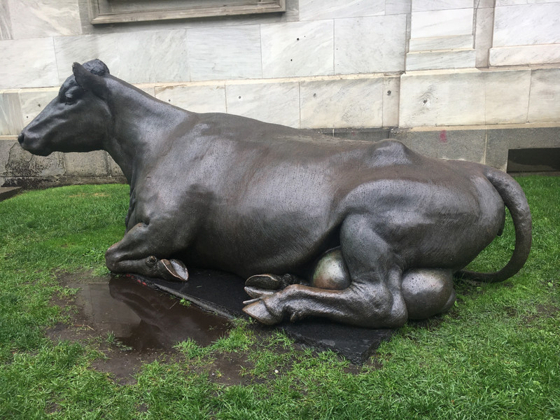 Sculpture of a cow