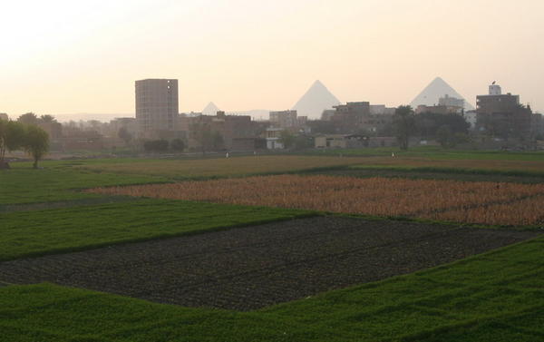 First Glimpse of the Pyramids of Giza