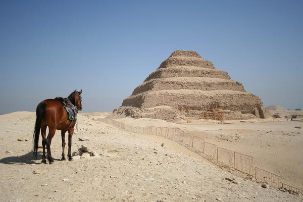 Pyramid and Horse