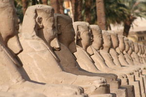 Sphinxes on the Avenue