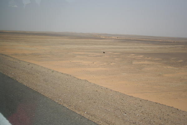 Desert Landscape on the way back