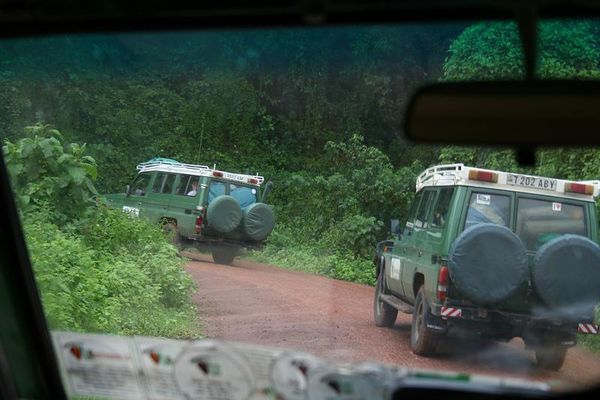 Our safari jeeps heading into the national parks