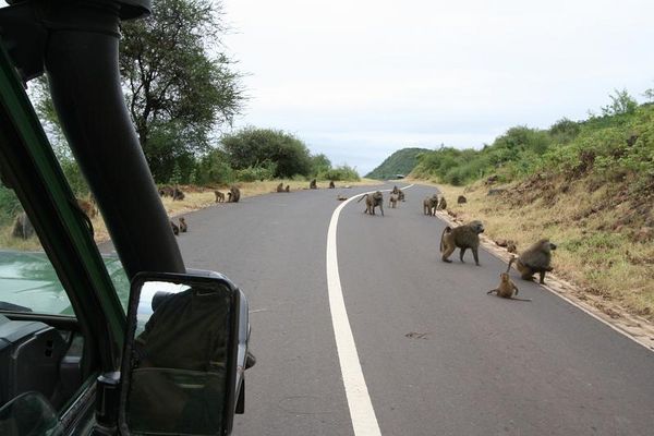 We saw some baboons along the way as well... 
