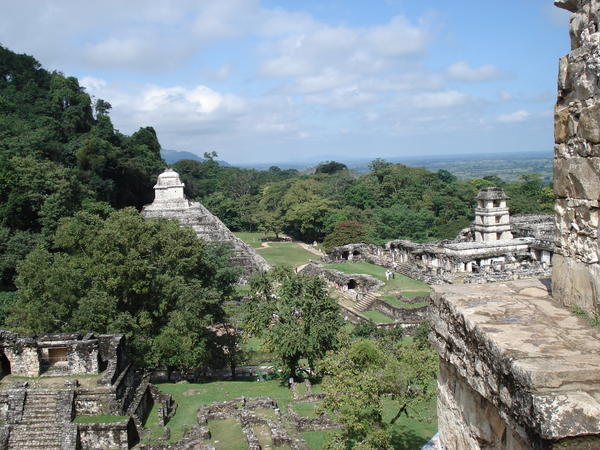 Wide shot of Palenque