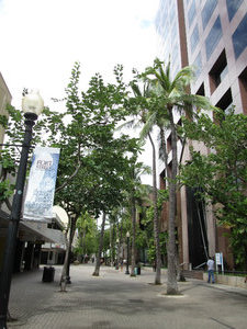 Gågade hvorpå nogle af HPUs bygninger ligger - bl.a. den til højre på billedet