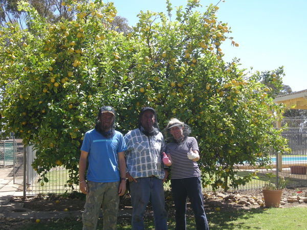 Scott, Jaz, Waz and the infamous lemon tree!