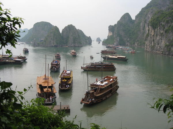 All the junks in Halong Bay