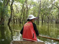 In the flooded forest round Kompong Phluk