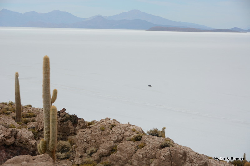 View of the salt flats from Incahuasi "island"
