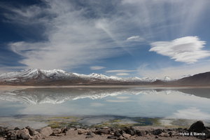 Altiplano lakes