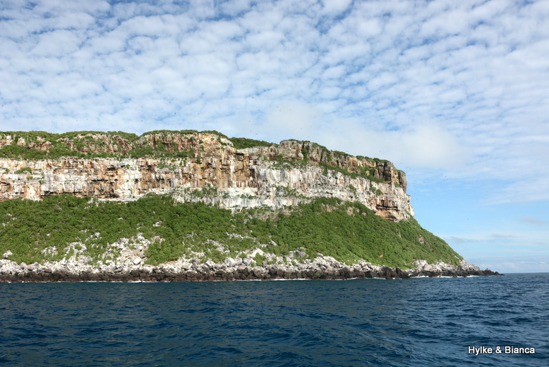 Darwin island