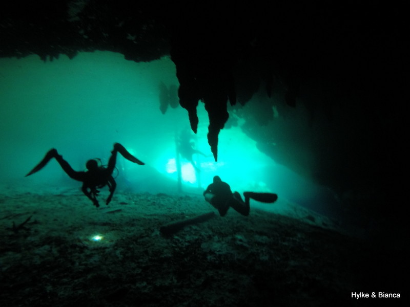 Diving in cenote Dreamworld
