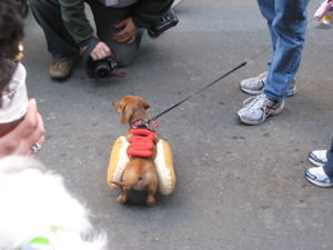 Hot dog..