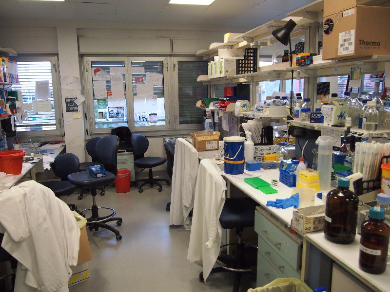 Lab - Desk (next to window on the right) and bench (second lab coat on the right)