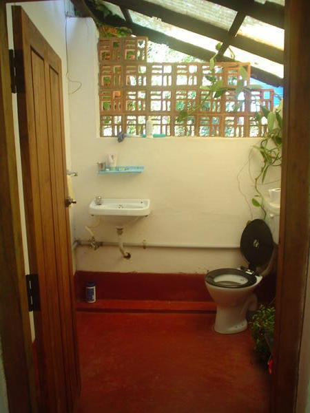 the bathroom at the retreat, complete with vanilla growing up the wall!