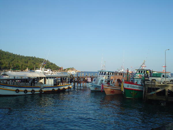 Harbour in Koh Tao