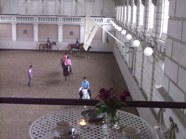 Riding Stables