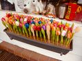 Colourful Wooden Tulips For Sale