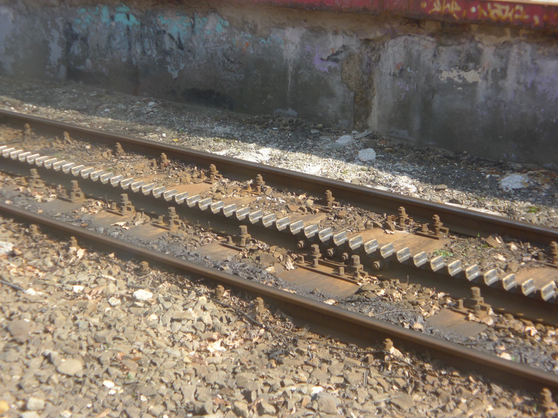 Cog Train Tracks
