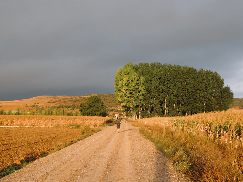 Dark Clouds And Warm Morning Light