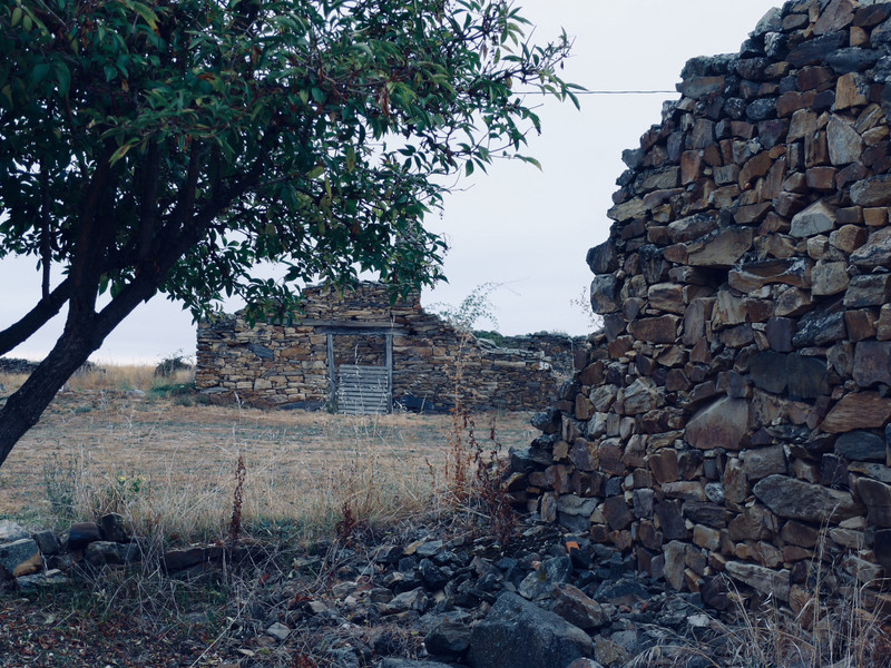 Ruins In El Ganso 