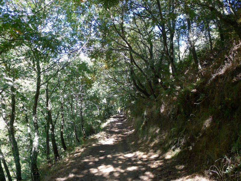 The Climb To O’Cebreiro.