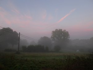 Early Mist As I Leave Ribadiso 