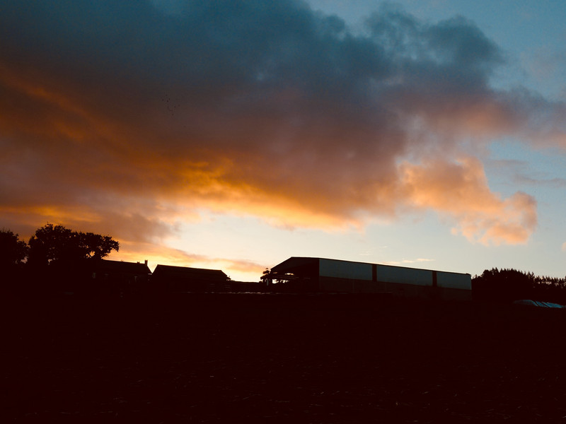 Sunrise Over Farmbuildings