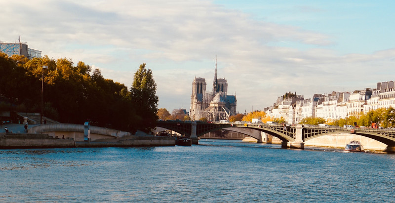 Notre Dame In The Distance 